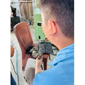 Ảnh hoạt động